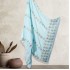 Sea Green Phulkari Chinon Dupatta